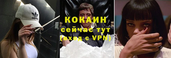 PSILOCYBIN Аркадак