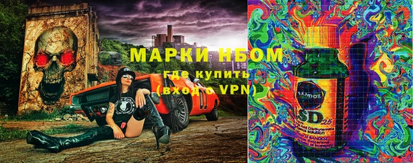 PSILOCYBIN Аркадак