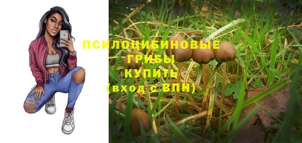 PSILOCYBIN Аркадак