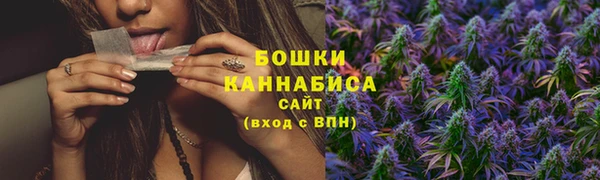 PSILOCYBIN Аркадак
